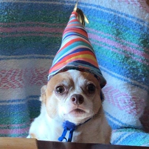 Meet your Posher, Steven - Picture 1 of 1